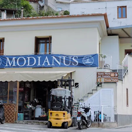 Modianus Vico Equense